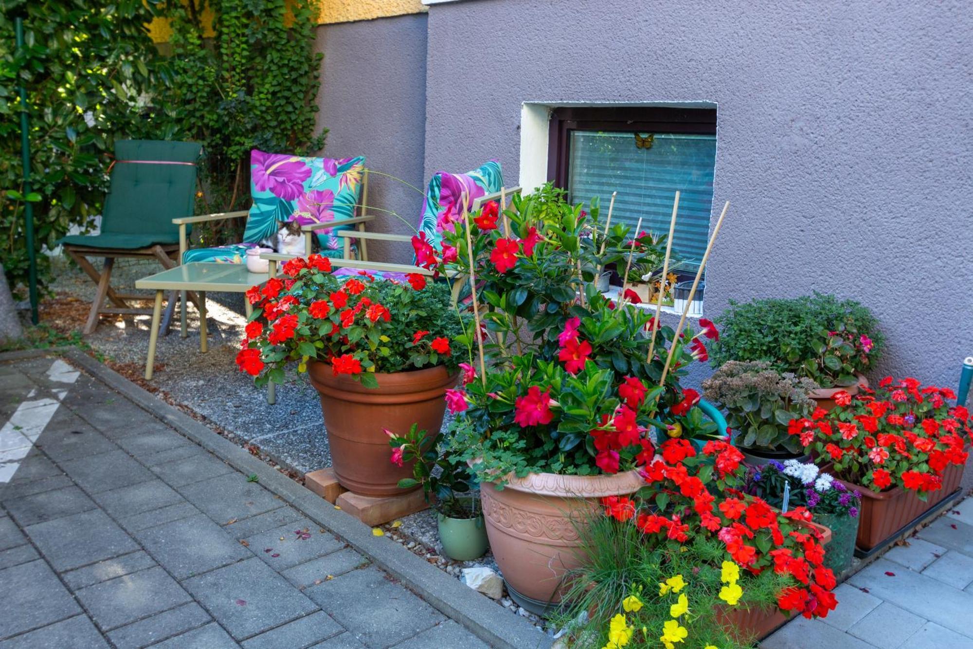 Benjamins Refugium Lägenhet Salzburg Exteriör bild